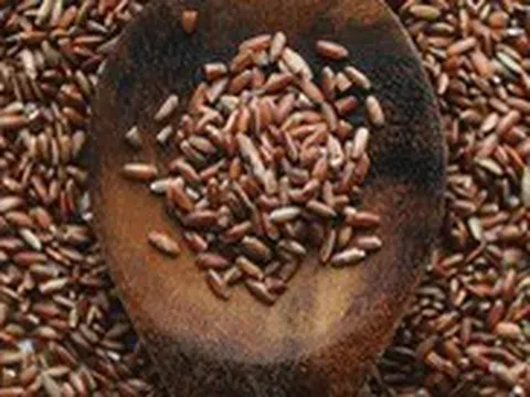 Gạo lứt rất tốt cho sức khỏe, nhưng ăn nhiều sẽ gây hại ra sao?