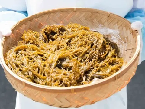 Lợi ích của fucoidan từ tảo nâu Okinawa đối với sức khỏe