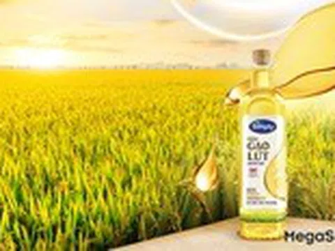 Hành trình từ hạt gạo nâu đến giọt dầu đặc biệt nuôi dưỡng trái tim