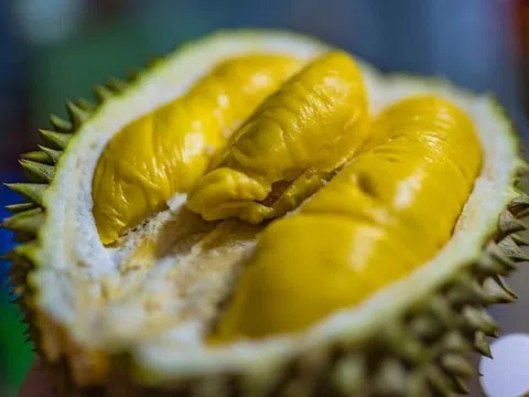 Những điều kiêng kỵ khi ăn sầu riêng