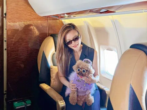 Chi gần 40.000 USD cho chó đi du lịch