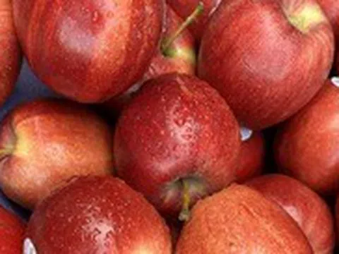 Muốn tỉnh táo vào buổi sáng nên ăn những thực phẩm gì?