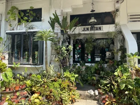 4 trải nghiệm gần gũi với văn hóa bản địa tại Singapore
