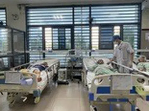 Hai người nguy kịch vì uống rượu ngâm rễ cây dùng để xoa bóp
