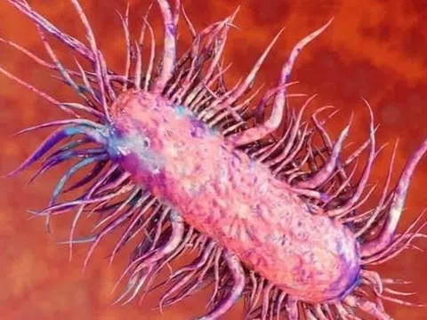 4 người ở Quảng Ninh nhiễm vi khuẩn 'ăn thịt người'