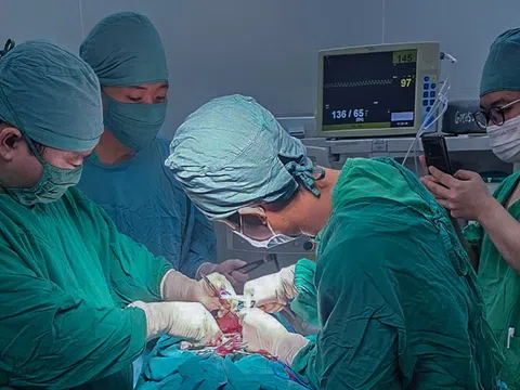 Người đàn ông bị chó nhà hàng xóm cắn mất hoàn toàn cánh mũi