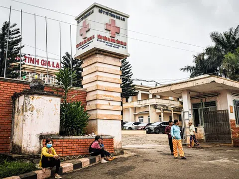 Ăn thịt cóc, 3 người trong gia đình nhập viện vì ngộ độc