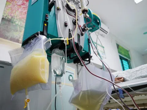 Căn bệnh khiến người đàn ông nhập viện đau đớn, máu đục như sữa