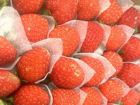 Các 'quý ông' muốn giữ phong độ nên ăn, tránh loại thực phẩm nào?