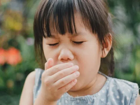Nguyên nhân gây ho đờm lâu ngày không dứt