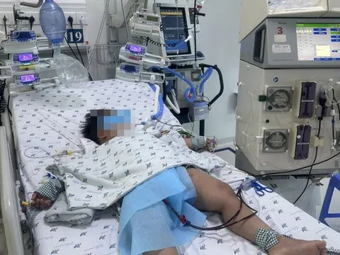 Bé trai 5 tuổi ở TP.HCM nguy kịch sau 2 ngày sốt