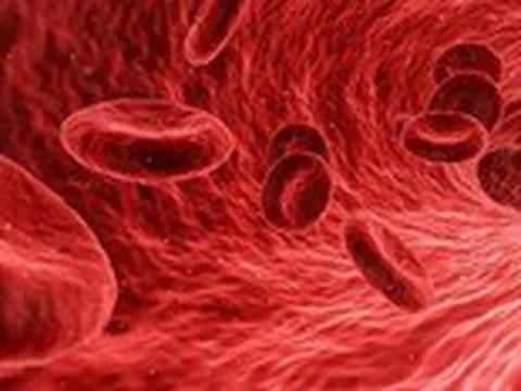 Thiếu sắt có thể là nguyên nhân gây mệt mỏi liên tục