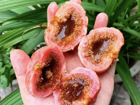 Nhập viện cấp cứu vì ăn quá nhiều trái vả chín