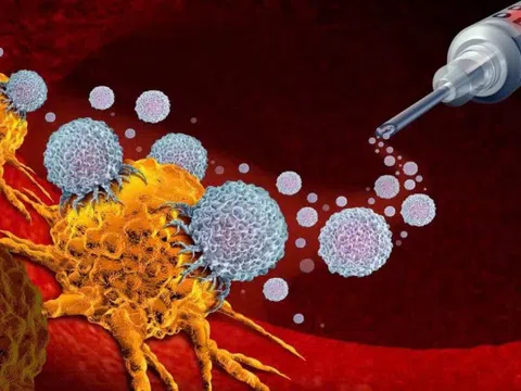 Loại ung thư nào có thể phòng ngừa bằng vaccine?