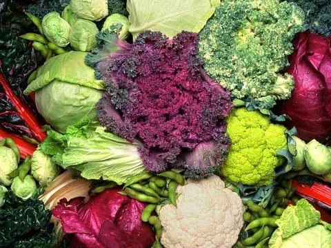 Loại rau có thể phòng ngừa 4 bệnh ung thư, bán đầy chợ Việt