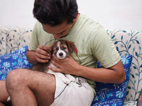 Người nuôi chó mèo có cần đi xét nghiệm để phát hiện sán chó?