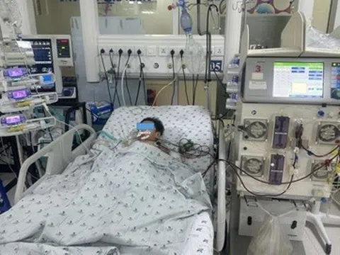 Bé trai phải lọc máu sau 4 ngày sốt xuất huyết