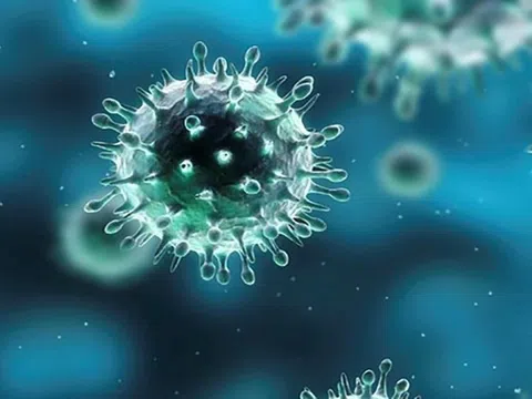 4 ca không qua khỏi liên quan đến cúm A/H1pdm ở Bình Định