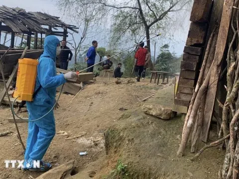 Các ổ dịch bệnh bạch hầu nhỏ vẫn trong tầm kiểm soát