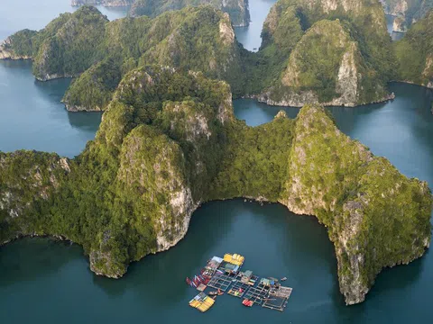 UNESCO đánh giá nguy cơ về bảo tồn với vịnh Hạ Long