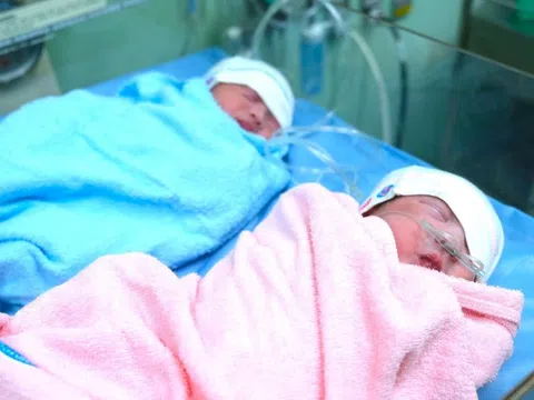 Tỷ lệ sinh con ở TP.HCM gia tăng trong năm rồng