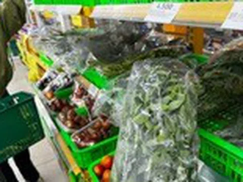 Những dấu hiệu sức khỏe cho thấy cơ thể của bạn cần thêm sắt