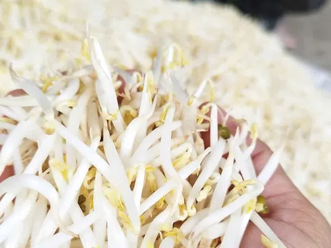 Nhận biết những thực phẩm dễ bị 'tẩm độc' bằng hóa chất