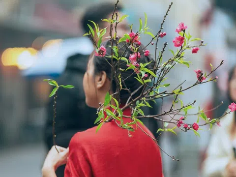 Du xuân dịp Tết nên mang thuốc gì, chuẩn bị ra sao?