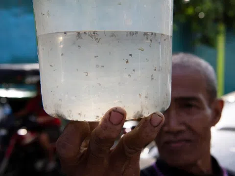 Thị trấn Philippines gây tranh cãi vì thưởng tiền để người dân bắt… muỗi