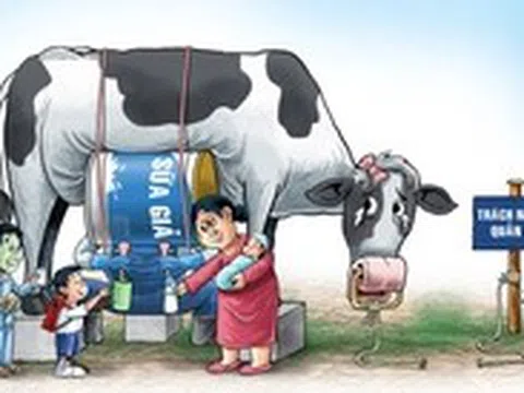 Gần 600 loại sữa giả đã tiêu thụ ở những đâu?