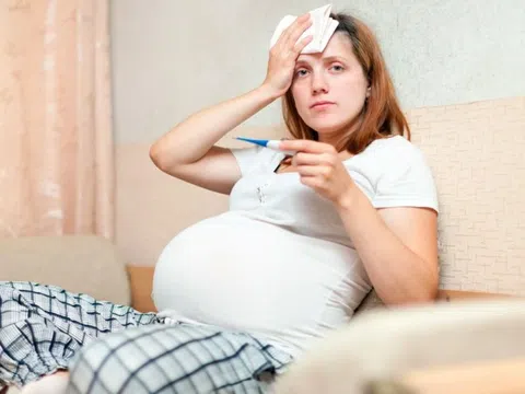 Mắc sốt xuất huyết khi mang thai