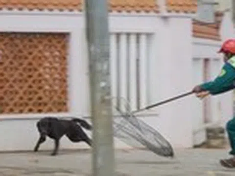 Người đàn ông tử vong với dấu hiệu bệnh dại sau hơn 1 năm bị chó cắn