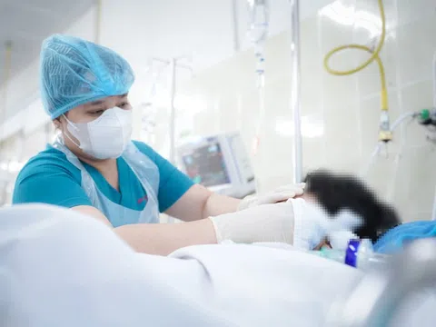 Bị nhánh cây rơi trúng đầu, bé trai ở TP.HCM nguy kịch