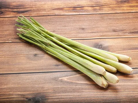 Uống nước lá tía tô với sả có tác dụng gì?