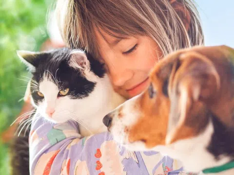 Những loại giun sán có thể lây nhiễm từ vật nuôi