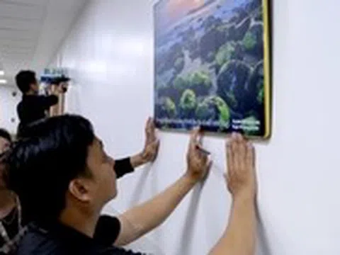 'Thắp' nụ cười cho người bệnh ung thư tại TP.HCM qua tranh ảnh