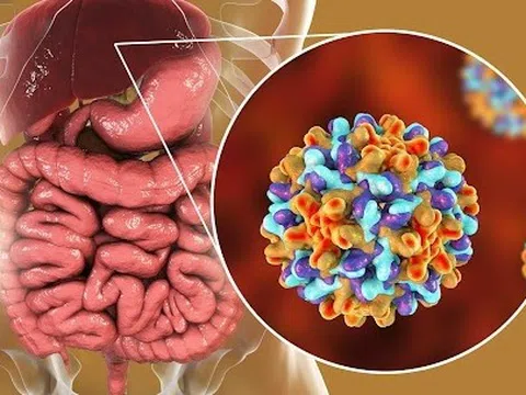 Viêm gan B lây truyền thế nào?