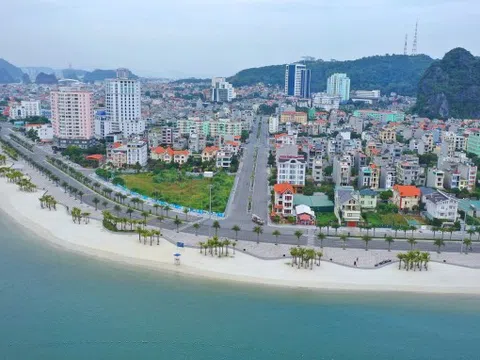 Gợi ý ăn ở, đi lại và khám phá cho runner đến Hạ Long