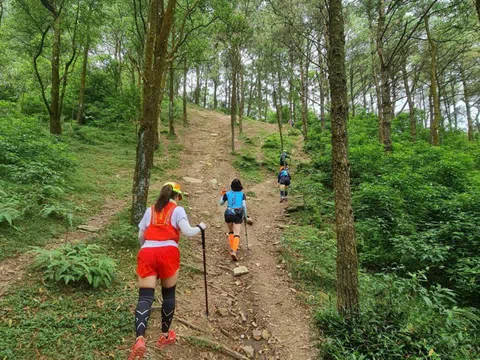 Núi Hàm Lợn 'dễ leo, khó lạc'