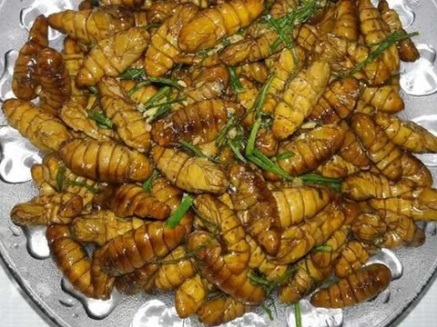 Ăn món đặc sản, người đàn ông sốc phản vệ nguy kịch