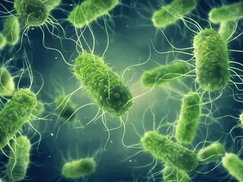 4 'thủ phạm' gây ngộ độc thực phẩm phổ biến nhất thế giới