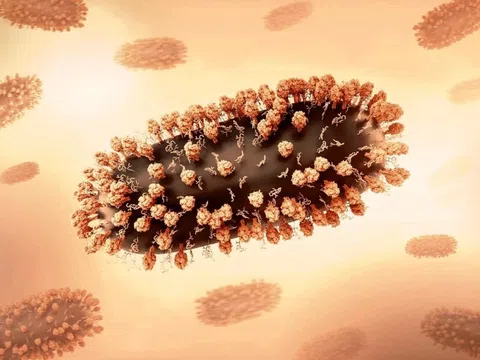 Virus RSV lây lan như thế nào?