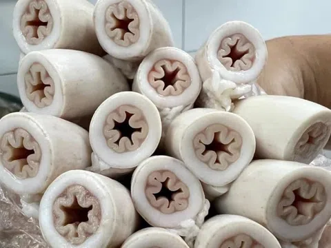 Kết quả kiểm tra lòng xe điếu ở TP.HCM