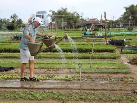 Việt Nam trong top 5 điểm khách châu Âu thích nhất hè