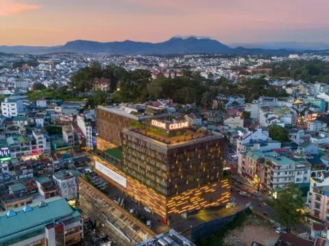 Colline Dalat - khách sạn view toàn cảnh Đà Lạt