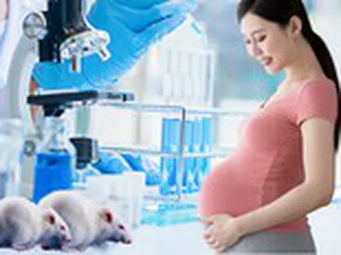 Mẹ thiếu sắt khi mang thai có thể khiến giới tính con bị thay đổi