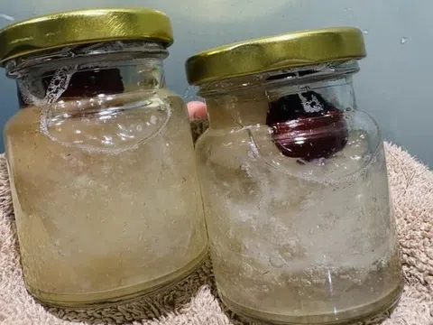 Tổ yến tốt nhưng không phải 'thần dược'