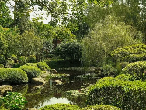 4 trải nghiệm nên thử khi du lịch trong ngày tại Brisbane