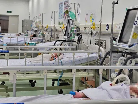 TP.HCM tăng hơn 50% ca sốt xuất huyết trong một tuần