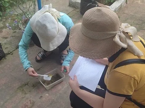 Khuyến cáo người dân các biện pháp ngăn chặn dịch sốt xuất huyết